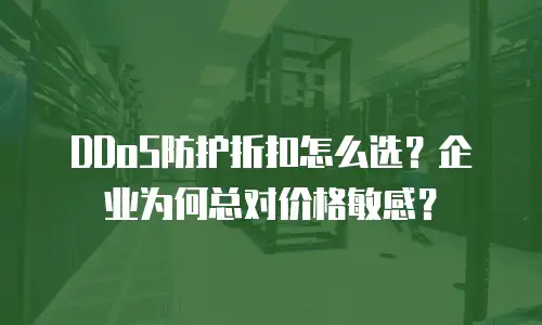 DDoS防护折扣怎么选？企业为何总对价格敏感？