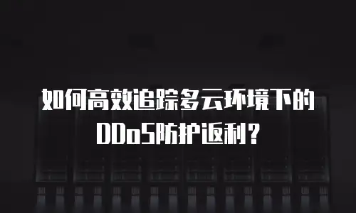 如何高效追踪多云环境下的DDoS防护返利？