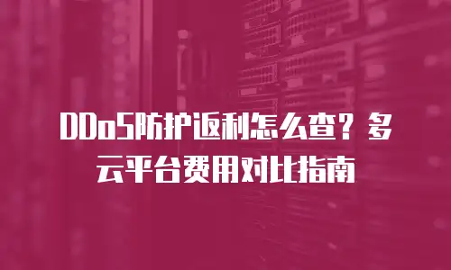 DDoS防护返利怎么查？多云平台费用对比指南