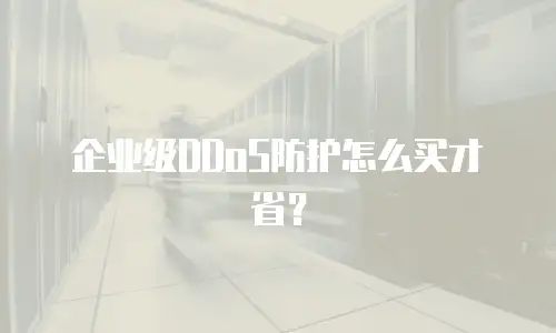 企业级DDoS防护怎么买才省？