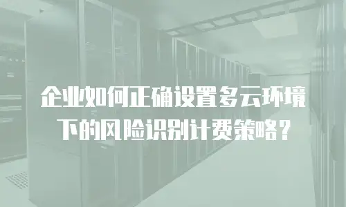 企业如何正确设置多云环境下的风险识别计费策略？