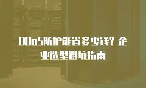 DDoS防护能省多少钱？企业选型避坑指南