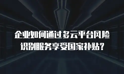 企业如何通过多云平台风险识别服务享受国家补贴？