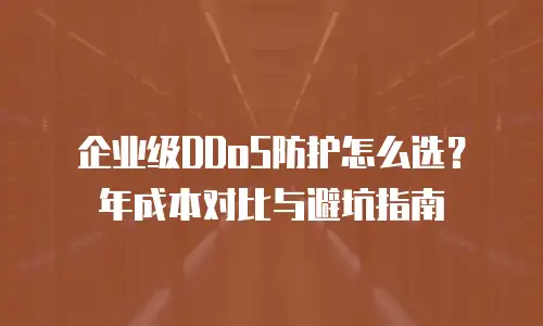 企业级DDoS防护怎么选？年成本对比与避坑指南