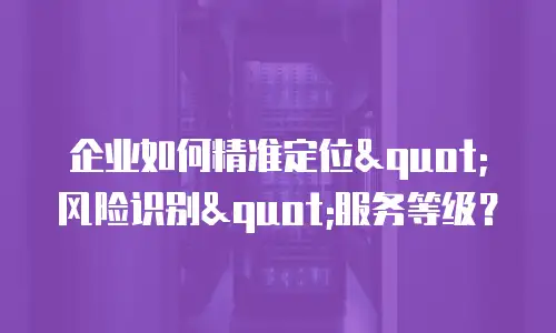 企业如何精准定位"风险识别"服务等级？