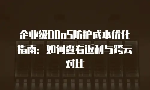 企业级DDoS防护成本优化指南：如何查看返利与跨云对比