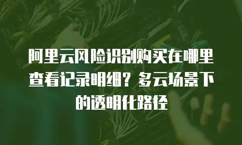 阿里云风险识别购买在哪里查看记录明细？多云场景下的透明化路径