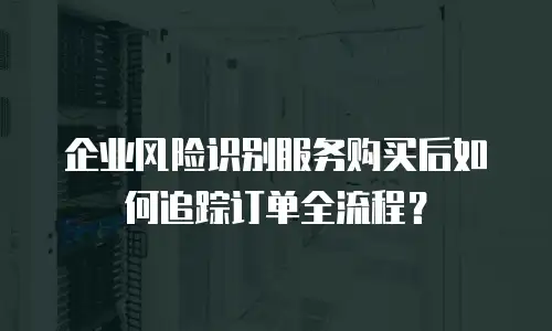 企业风险识别服务购买后如何追踪订单全流程？