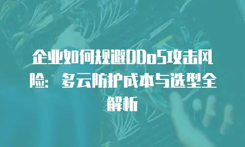 企业如何规避DDoS攻击风险：多云防护成本与选型全解析
