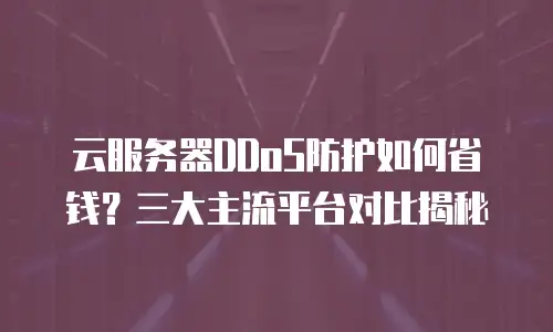 云服务器DDoS防护如何省钱？三大主流平台对比揭秘