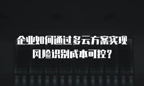 企业如何通过多云方案实现风险识别成本可控？