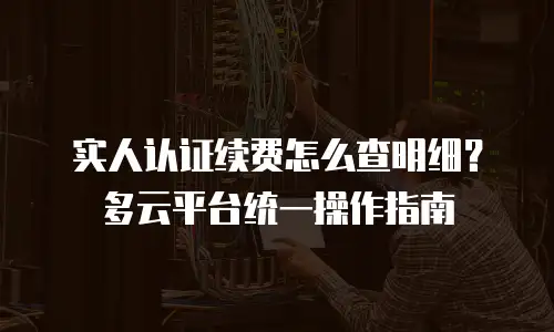 实人认证续费怎么查明细？多云平台统一操作指南
