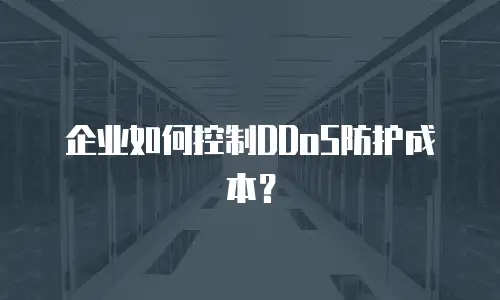 企业如何控制DDoS防护成本？