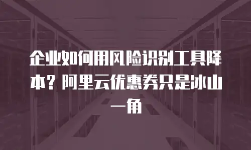 企业如何用风险识别工具降本？阿里云优惠券只是冰山一角