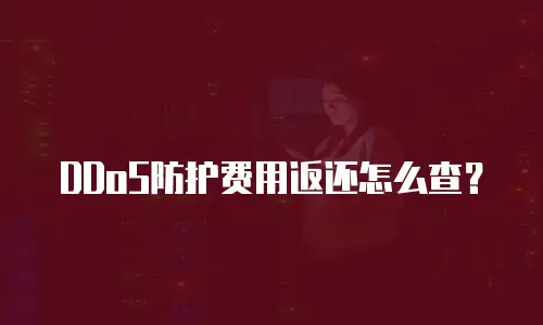 DDoS防护费用返还怎么查？