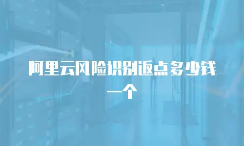 阿里云风险识别返点多少钱一个