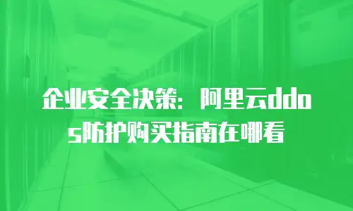 企业安全决策：阿里云ddos防护购买指南在哪看