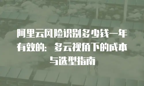 阿里云风险识别多少钱一年有效的：多云视角下的成本与选型指南