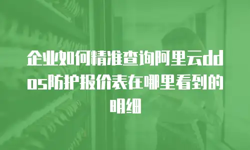 企业如何精准查询阿里云ddos防护报价表在哪里看到的明细