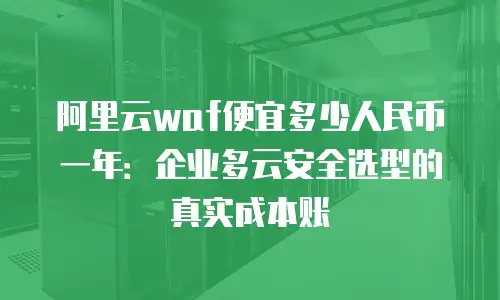 阿里云waf便宜多少人民币一年：企业多云安全选型的真实成本账
