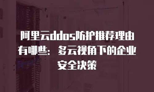 阿里云ddos防护推荐理由有哪些：多云视角下的企业安全决策