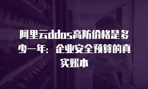 阿里云ddos高防价格是多少一年：企业安全预算的真实账本