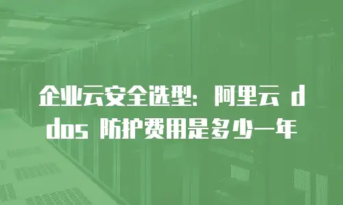 企业云安全选型：阿里云 ddos 防护费用是多少一年