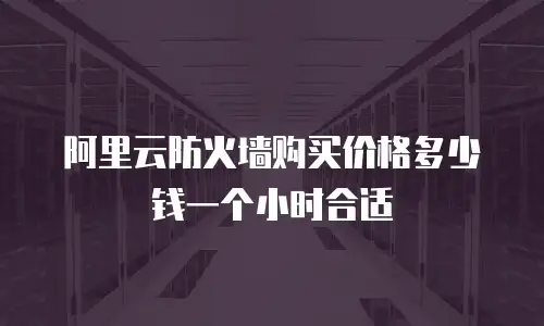阿里云防火墙购买价格多少钱一个小时合适