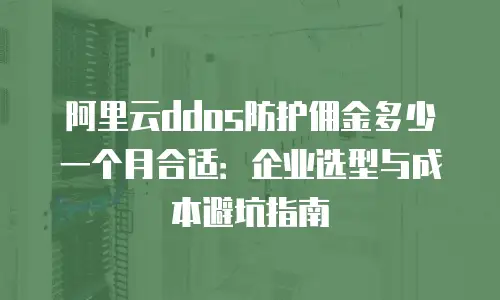 阿里云ddos防护佣金多少一个月合适：企业选型与成本避坑指南