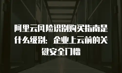 阿里云风险识别购买指南是什么级别：企业上云前的关键安全门槛