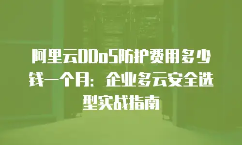 阿里云DDoS防护费用多少钱一个月：企业多云安全选型实战指南