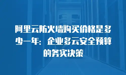 阿里云防火墙购买价格是多少一年：企业多云安全预算的务实决策