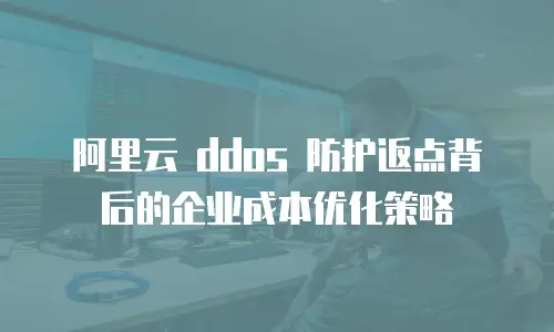 阿里云 ddos 防护返点背后的企业成本优化策略