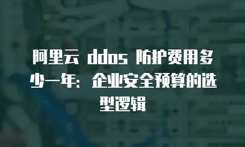 阿里云 ddos 防护费用多少一年：企业安全预算的选型逻辑