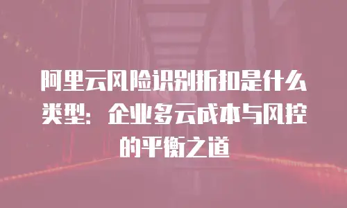 阿里云风险识别折扣是什么类型：企业多云成本与风控的平衡之道