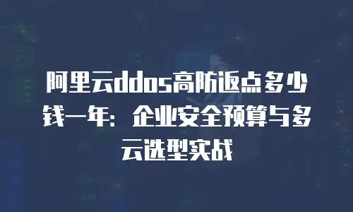阿里云ddos高防返点多少钱一年：企业安全预算与多云选型实战