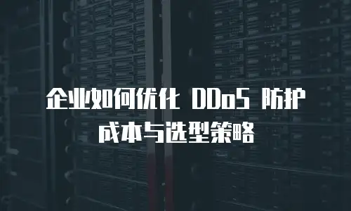 企业如何优化 DDoS 防护成本与选型策略
