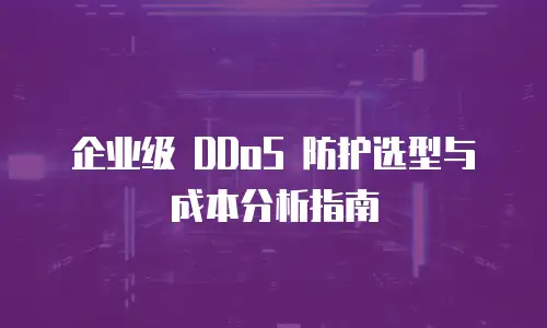 企业级 DDoS 防护选型与成本分析指南