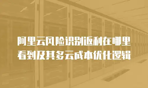 阿里云风险识别返利在哪里看到及其多云成本优化逻辑