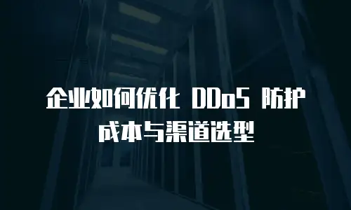 企业如何优化 DDoS 防护成本与渠道选型