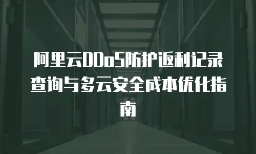 阿里云DDoS防护返利记录查询与多云安全成本优化指南