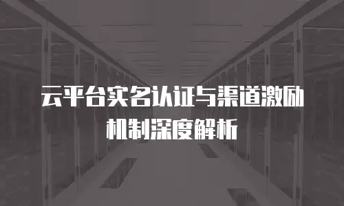 云平台实名认证与渠道激励机制深度解析