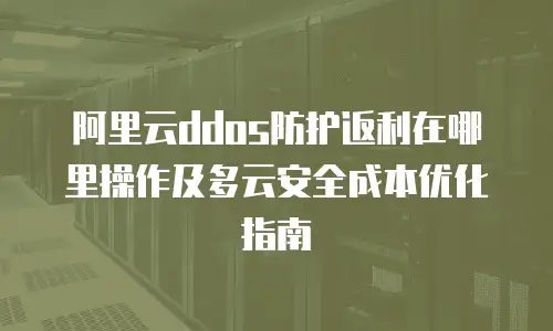阿里云ddos防护返利在哪里操作及多云安全成本优化指南