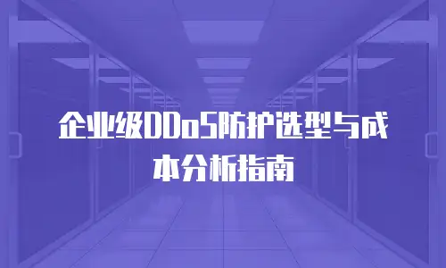 企业级DDoS防护选型与成本分析指南
