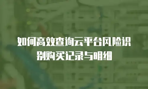如何高效查询云平台风险识别购买记录与明细