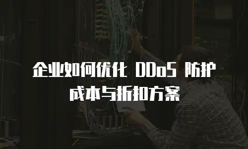 企业如何优化 DDoS 防护成本与折扣方案