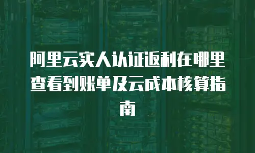 阿里云实人认证返利在哪里查看到账单及云成本核算指南