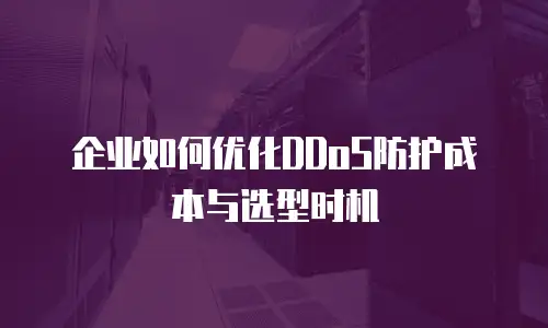 企业如何优化DDoS防护成本与选型时机
