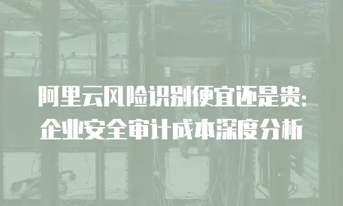 阿里云风险识别便宜还是贵：企业安全审计成本深度分析
