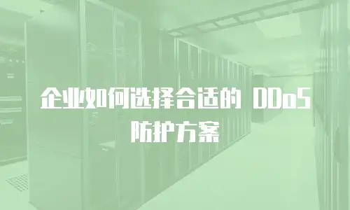 企业如何选择合适的 DDoS 防护方案